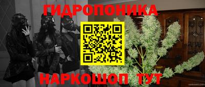 мяу мяу мука Волжский