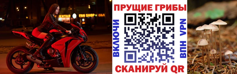 Галлюциногенные грибы мицелий  мега рабочий сайт  Минусинск  закладка 