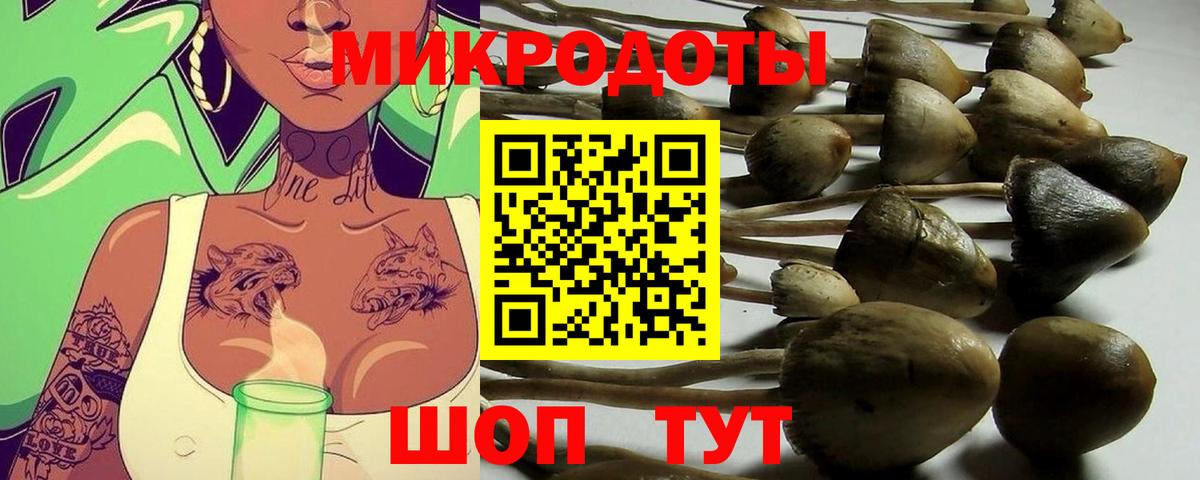 Минусинск  Псилоцибиновые грибы прущие грибы  Псилоцибиновые грибы мицелий  Вход с VPN 